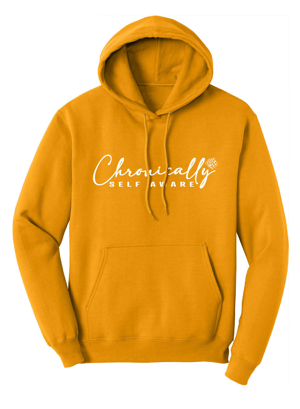 CHRONICALLY SELF AWARE CORE FLEECE HOODIE