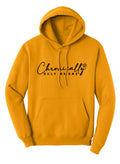 CHRONICALLY SELF AWARE CORE FLEECE HOODIE
